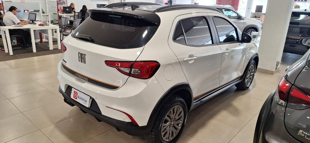 fiat argo 1.3 firefly flex trekking manual 4p 20233