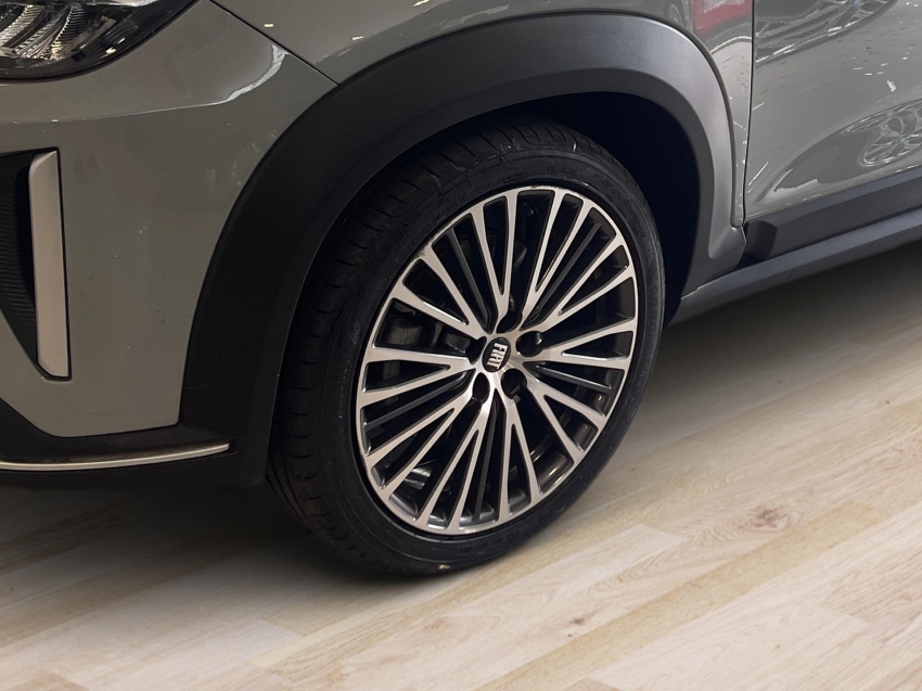 fastback limited 20255