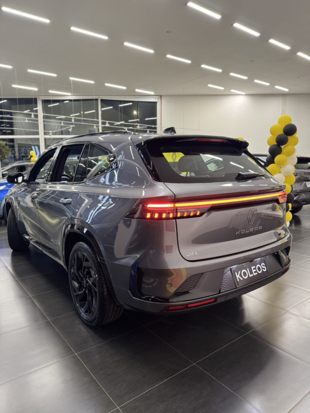 koleos - hibrido 20278