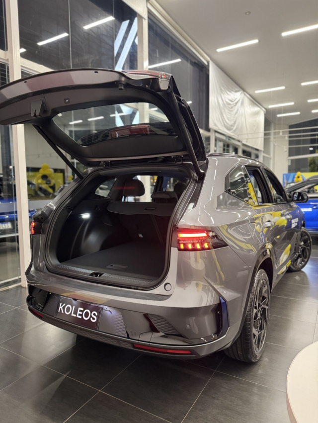 koleos - hibrido 20277