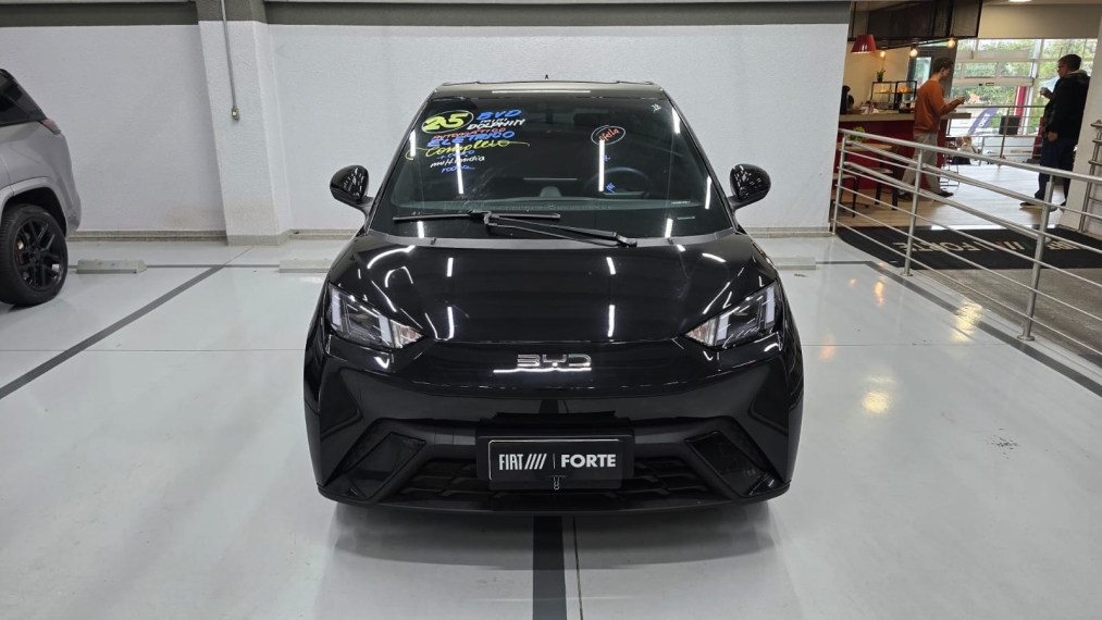 byd dolphin 44,9 kw eletrico gs 4p automatico 20252