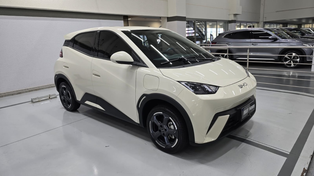 byd dolphin 44,9 kw eletrico gs 4p automatico 20253
