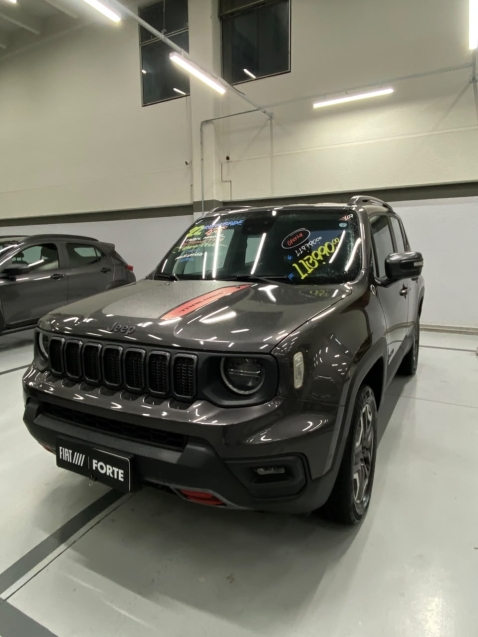 jeep renegade 1.3 t270 turbo flex trailhawk 4x4 at9 4p automatico 20220