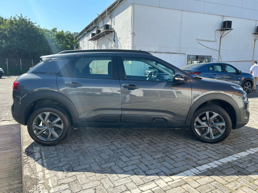 c4 cactus 1.6 feel eat6