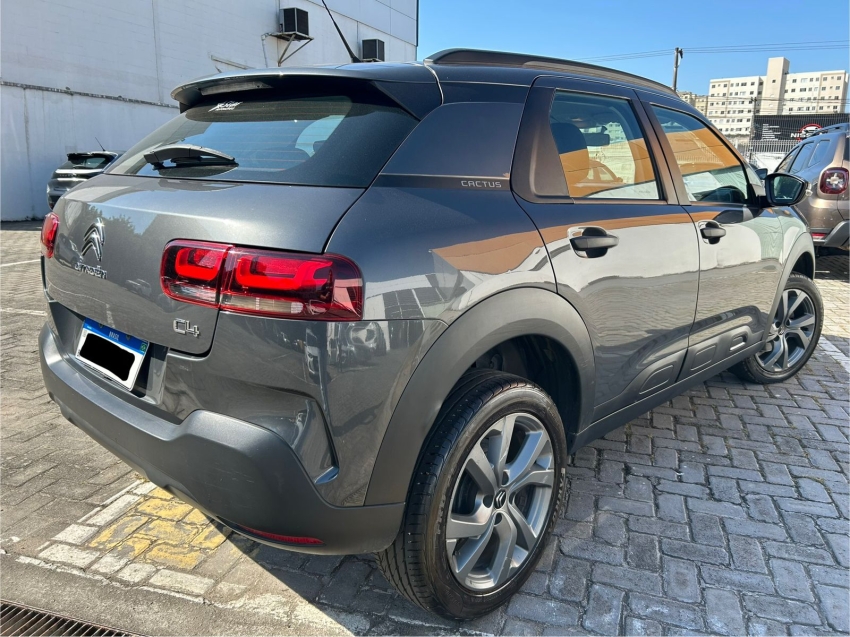 c4 cactus 1.6 feel eat6