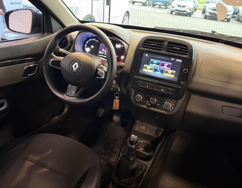 kwid intense 1.010