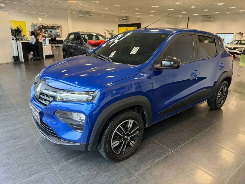 kwid intense 1.02