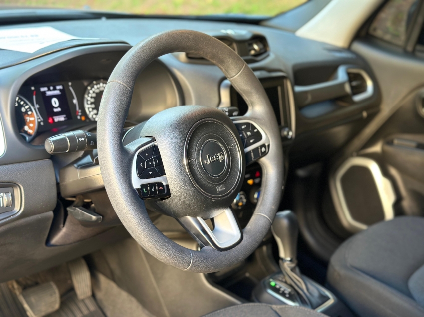 renegade sport 1.816v
