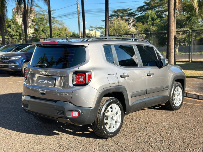 renegade sport 1.816v