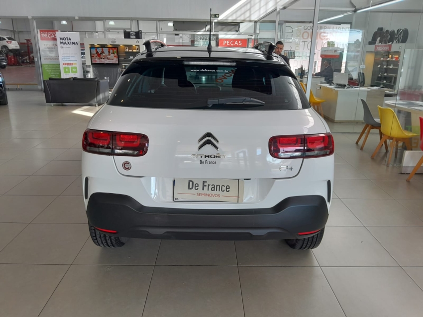 c4 cactus feel at