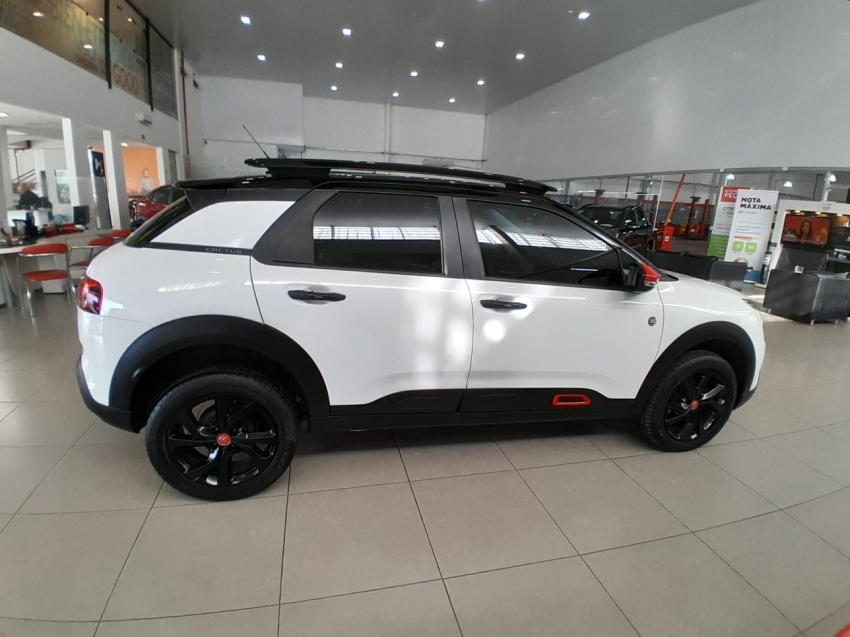 c4 cactus feel at