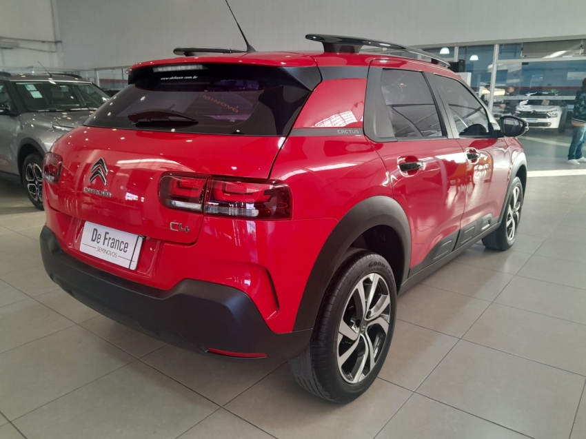 c4 cactus feel pack at