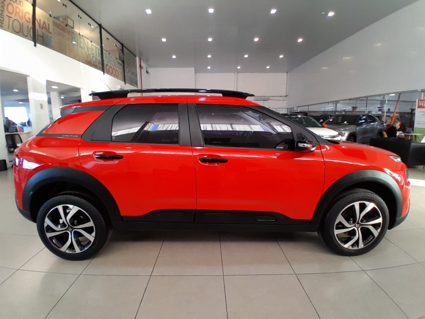c4 cactus feel pack at
