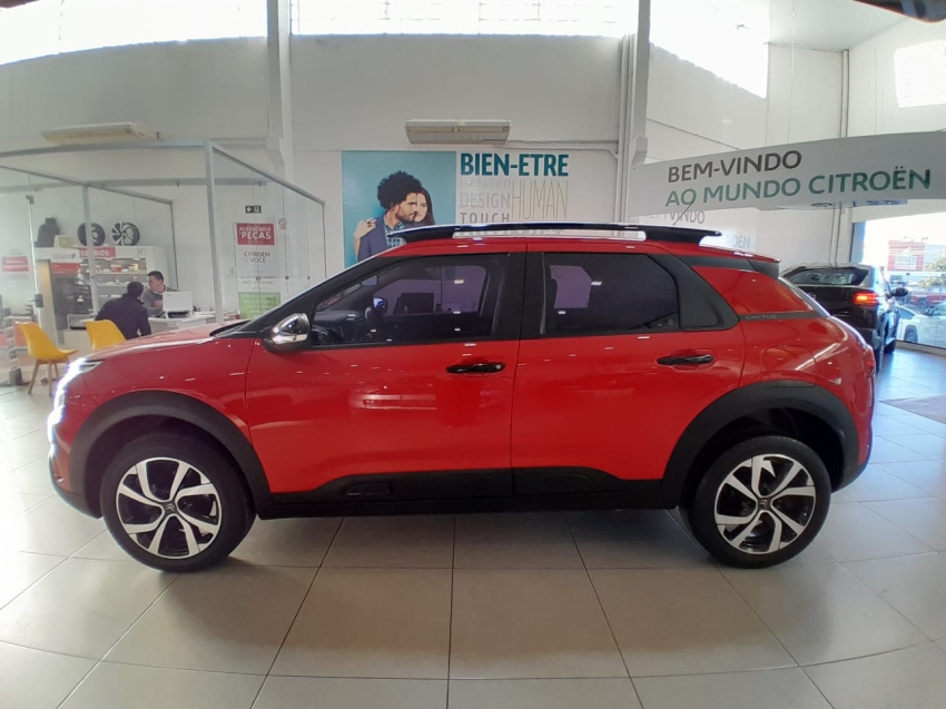 c4 cactus feel pack at