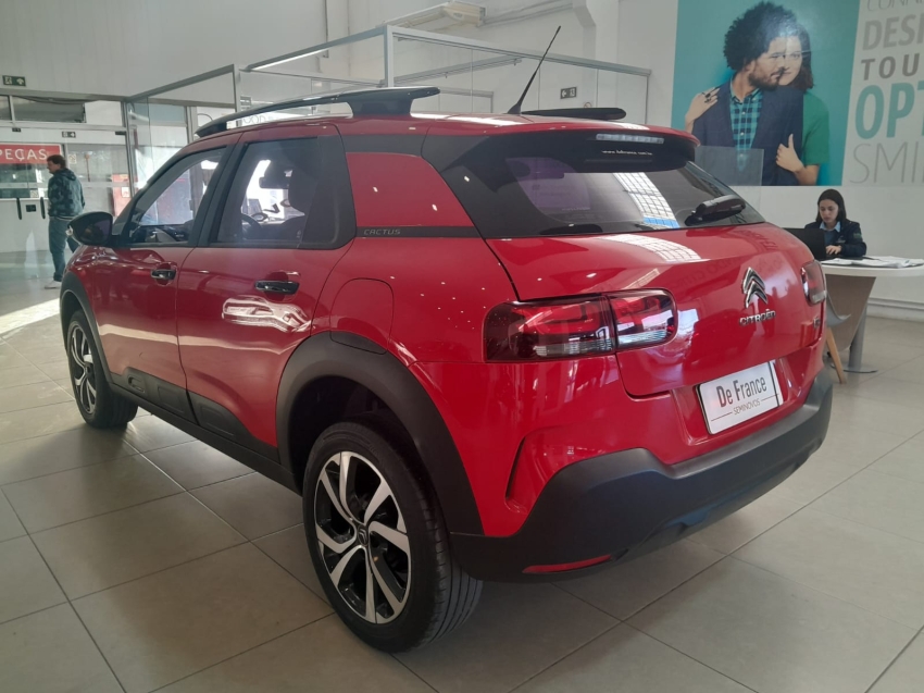 c4 cactus feel pack at