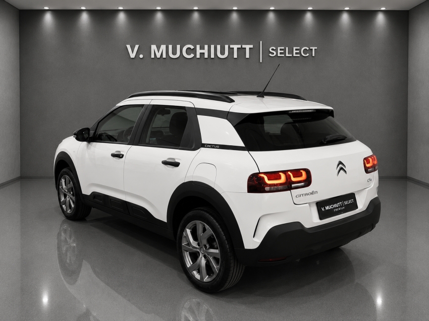 citroen c4 cactus 1.6 vti 120 flex feel eat6 4p automatico 20233