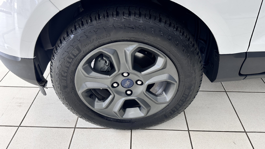 ecosport freestyle