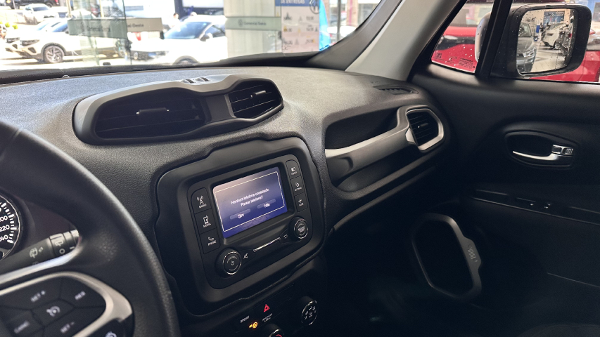 renegade sport