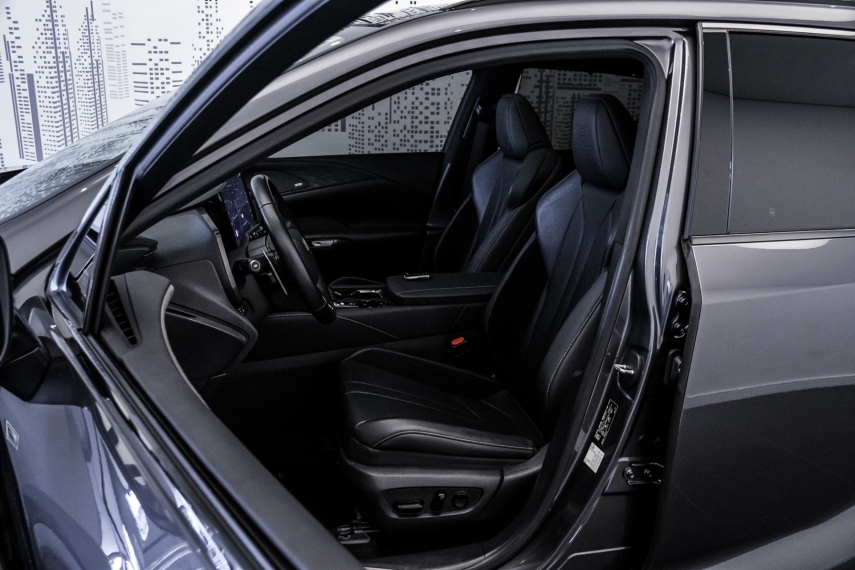 Carro Lexus RX 500h