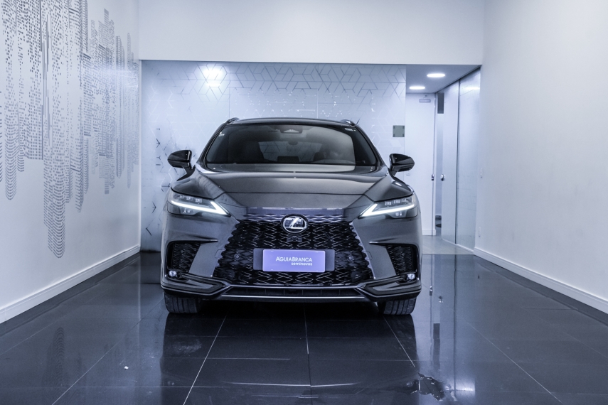 Carro Lexus RX 500h