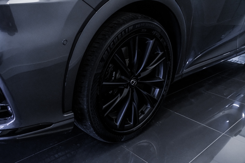 Carro Lexus RX 500h