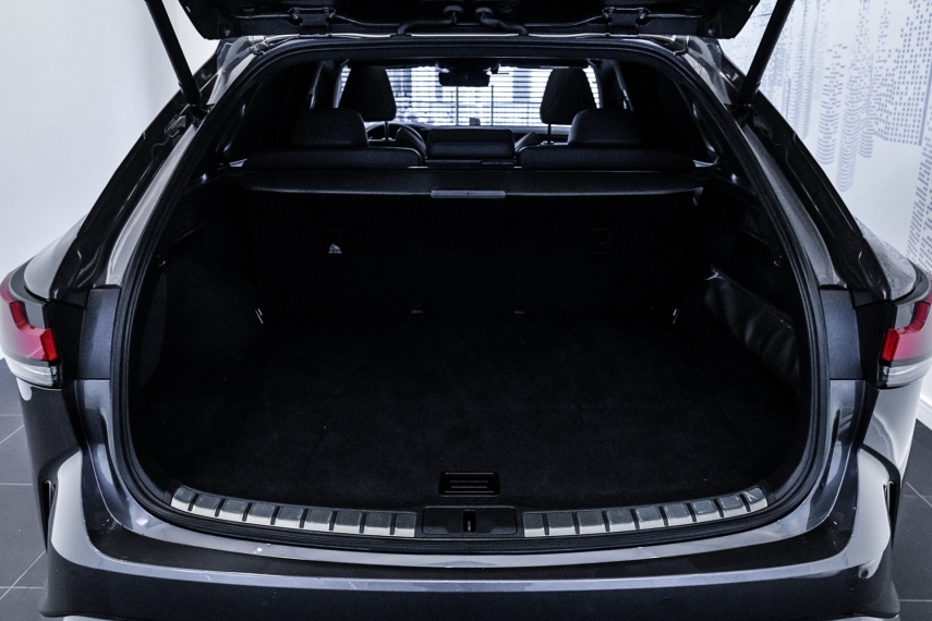 Carro Lexus RX 500h