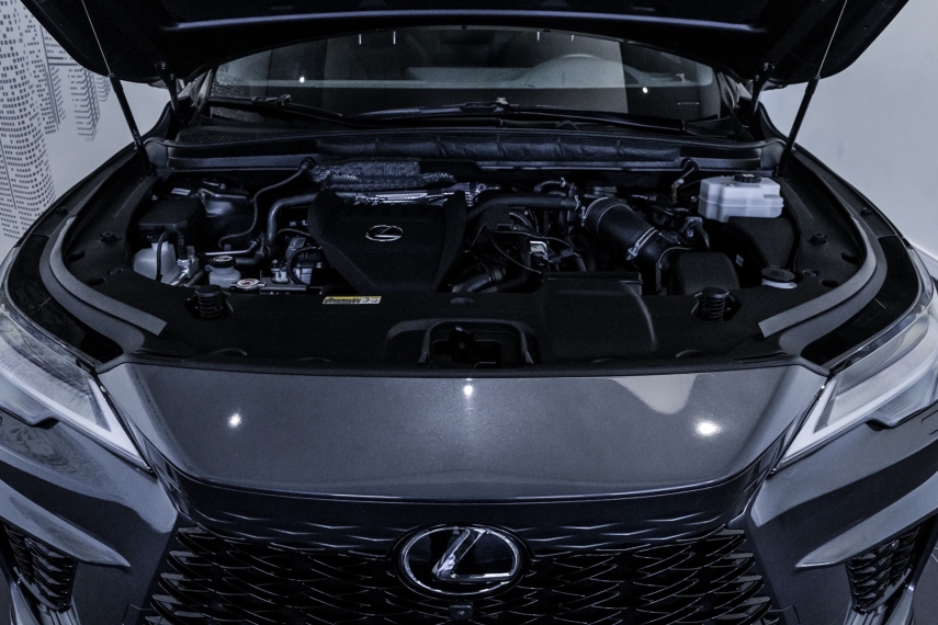Carro Lexus RX 500h