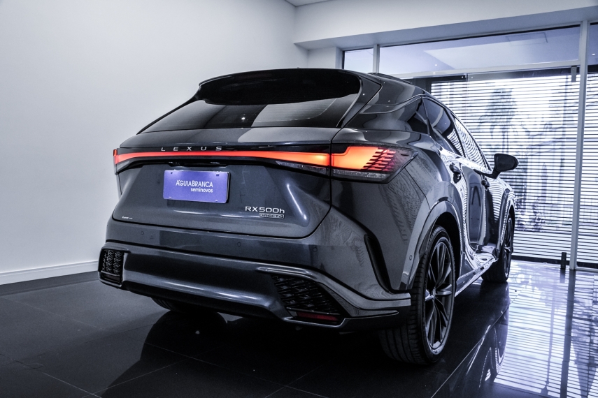 Carro Lexus RX 500h