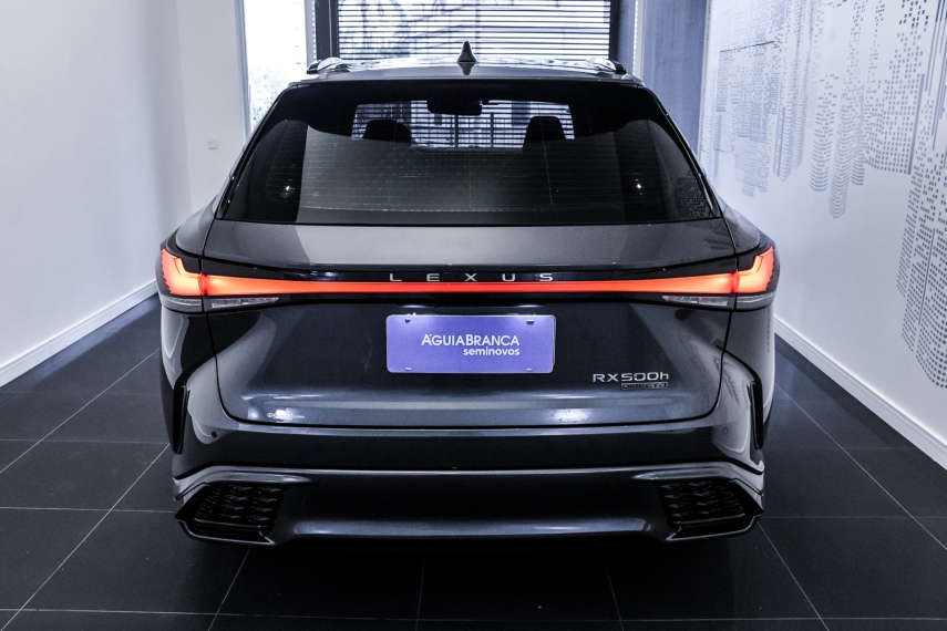Carro Lexus RX 500h