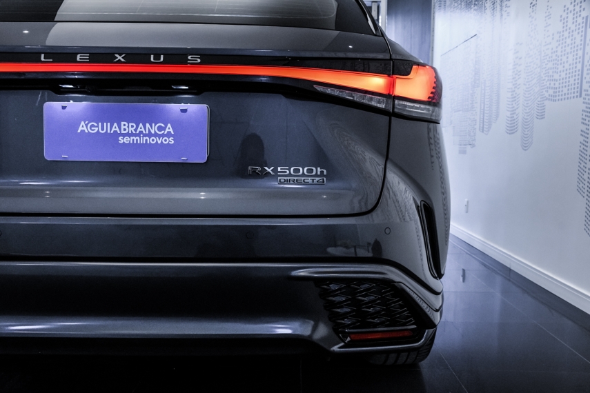 Carro Lexus RX 500h