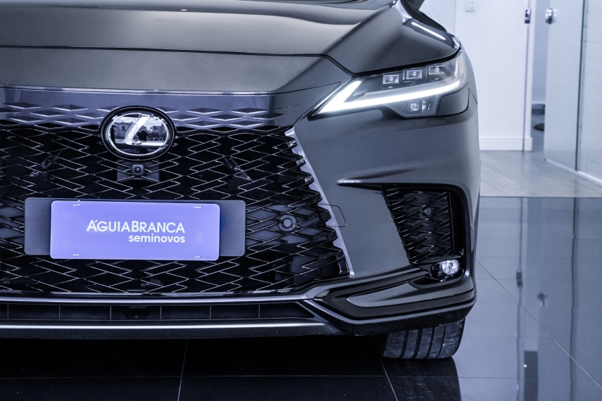 Carro Lexus RX 500h