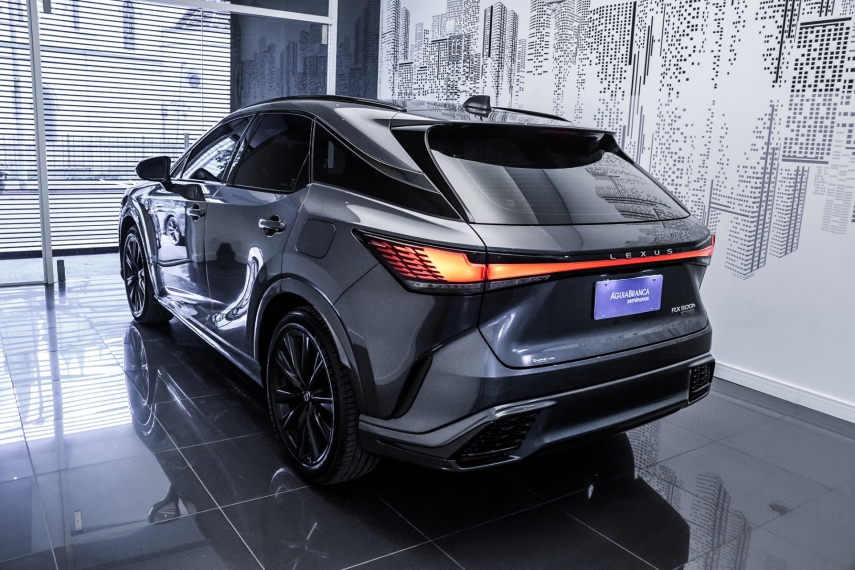 Carro Lexus RX 500h