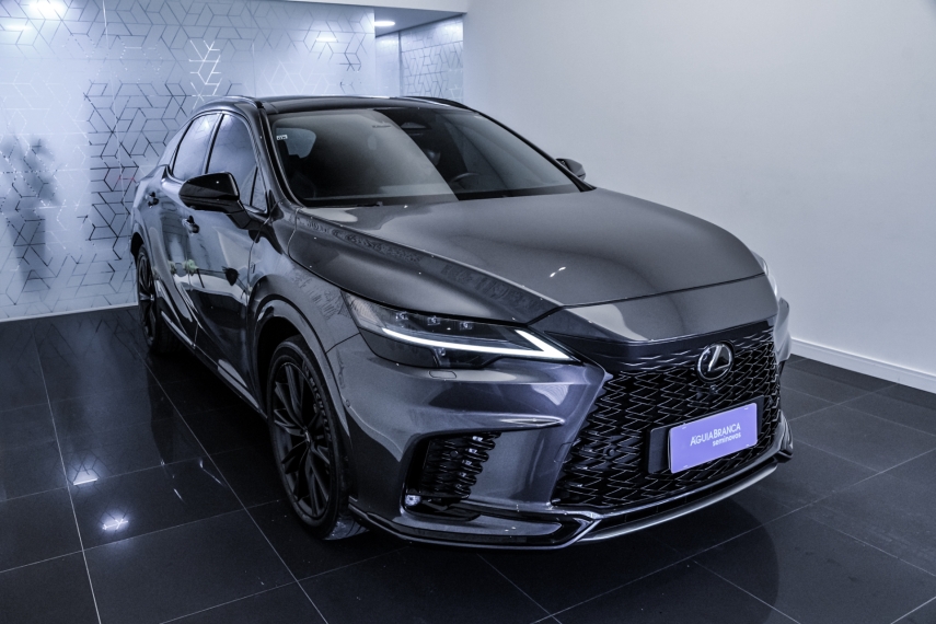 Carro Lexus RX 500h