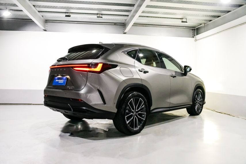 Lexus NX 450h+ 2.5 PHEV AWD CVT 10