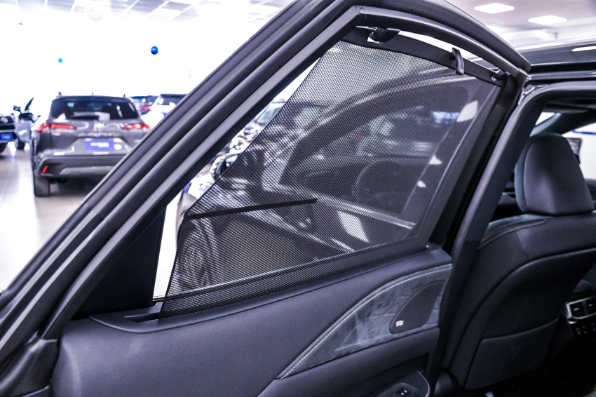 Lexus RX 450H+ 2.5 PHEV AWD CVT 24