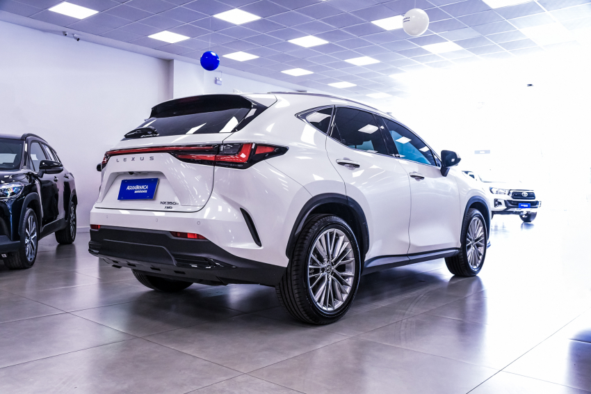 Lexus NX 350h 2.5 16V VVT-I HYBRID LUXURY CVT AWD 10