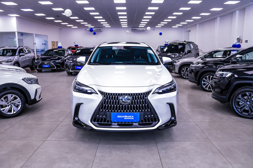 Lexus NX 350h 2.5 16V VVT-I HYBRID LUXURY CVT AWD 3
