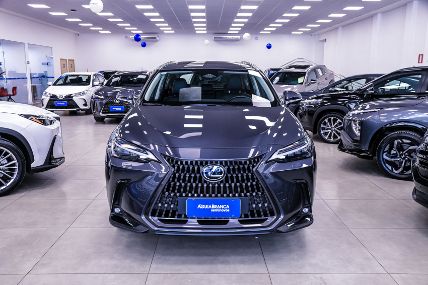 Lexus NX 350h 2.5 16V VVT-I HYBRID LUXURY CVT AWD 3