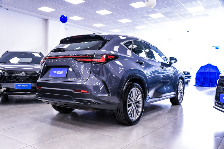 Lexus NX 350h 2.5 16V VVT-I HYBRID LUXURY CVT AWD 10