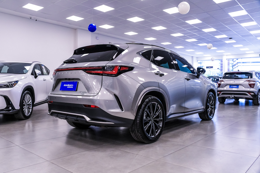 Lexus NX 350h 2.5 16V VVT-I HYBRID F-SPORT CVT AWD 10
