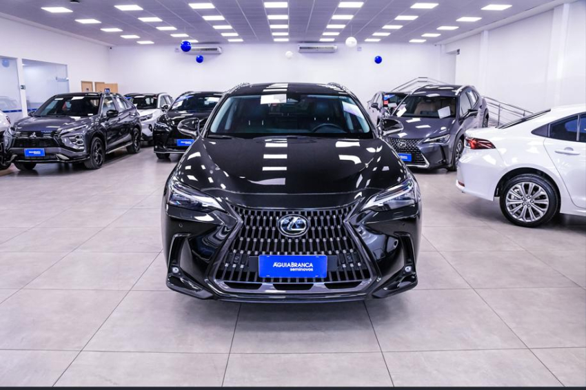 Lexus NX 350h 2.5 16V VVT-I HYBRID LUXURY CVT AWD 3