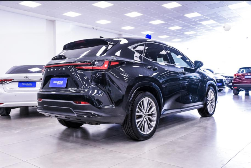 Lexus NX 350h 2.5 16V VVT-I HYBRID LUXURY CVT AWD 10