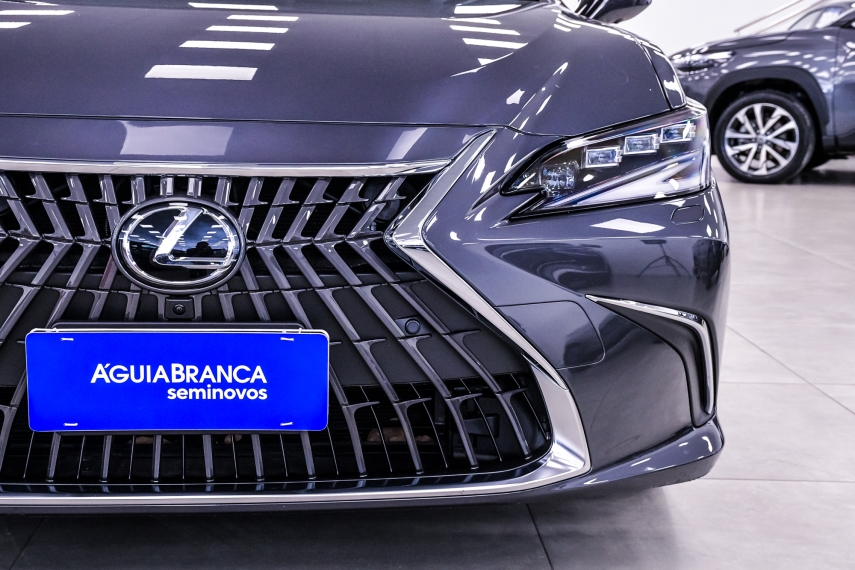 Lexus ES 300h 2.5 16V HÍBRIDO CVT 3