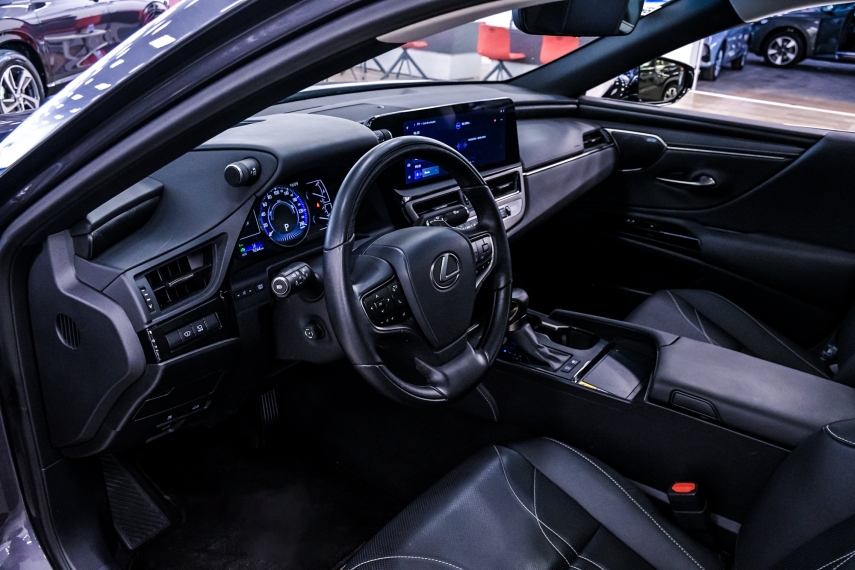 Lexus ES 300h 2.5 16V HÍBRIDO CVT 14