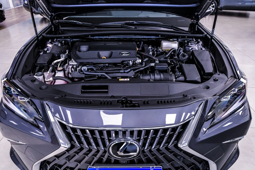 Lexus ES 300h 2.5 16V HÍBRIDO CVT 6