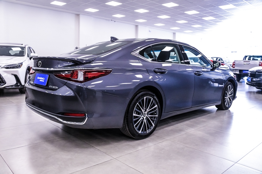 Lexus ES 300h 2.5 16V HÍBRIDO CVT 10