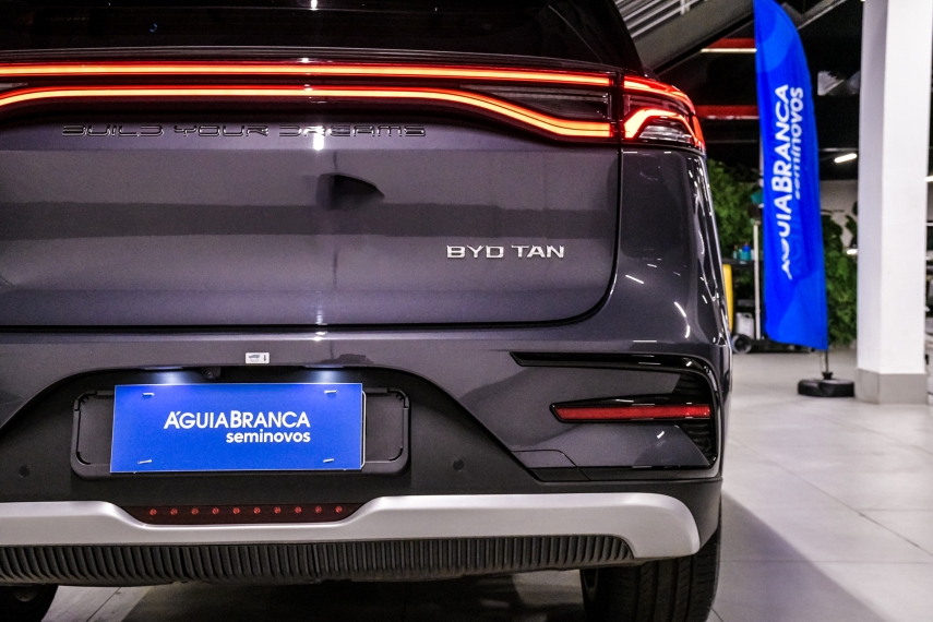 BYD TAN ELÉTRICO AWD 9