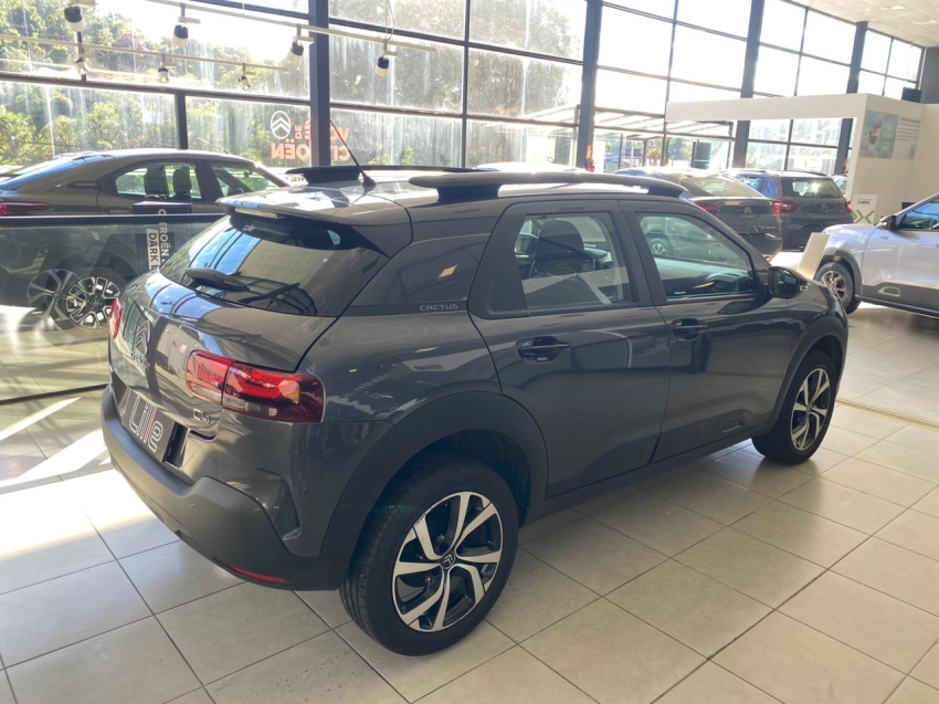 c4 cactus 1.6 flex feel pack3