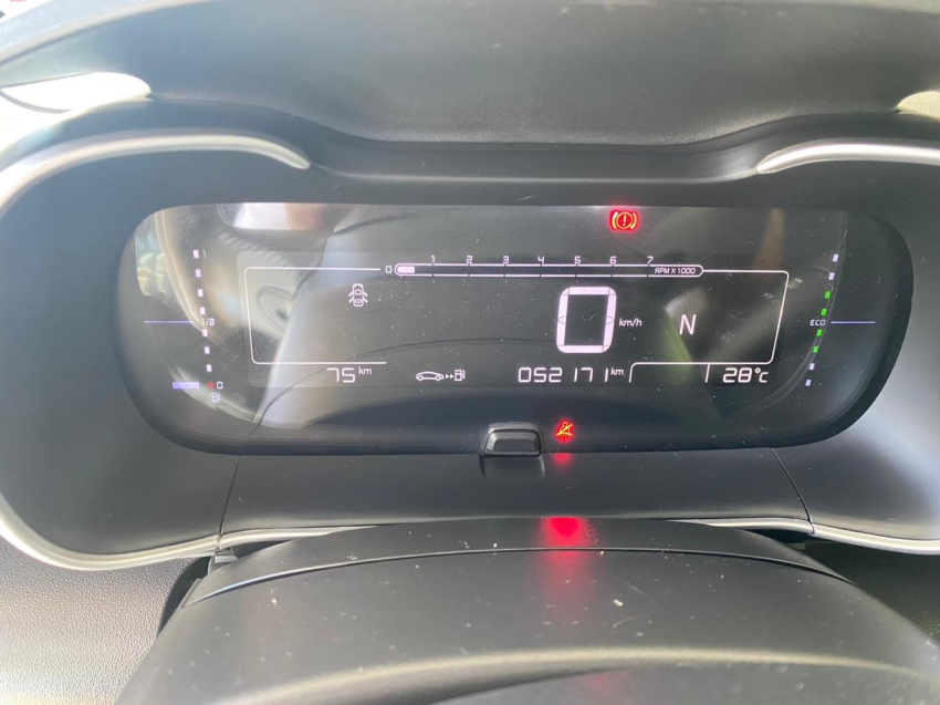 c4 cactus 1.6 flex feel pack8