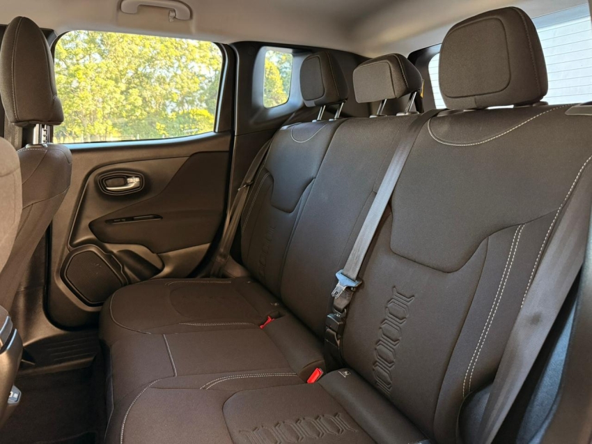 renegade 1.3 t270 turbo flex at612